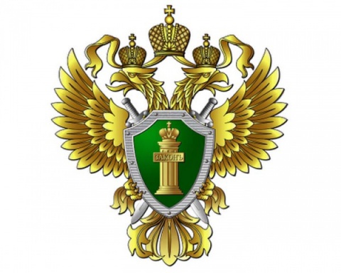 День работника прокуратуры РФ